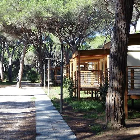 Campingplatz Eden *