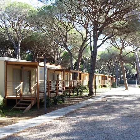 Campingplatz Eden