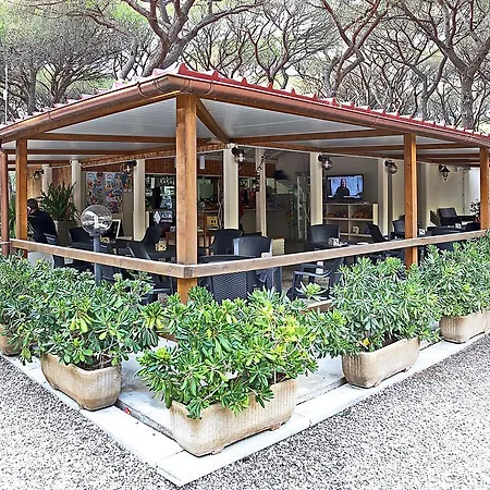 Kamp alanı Eden