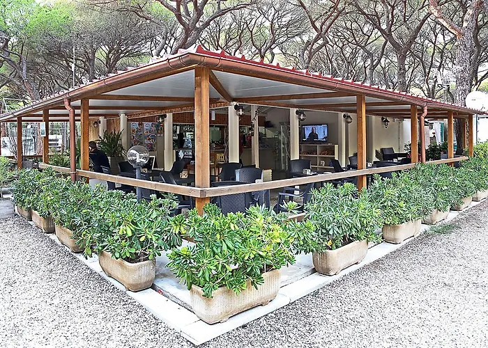 Kamp alanı Eden