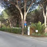 Eden Camping