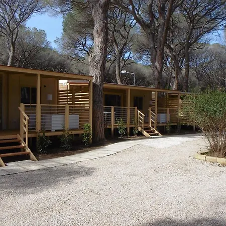 Eden Camping *