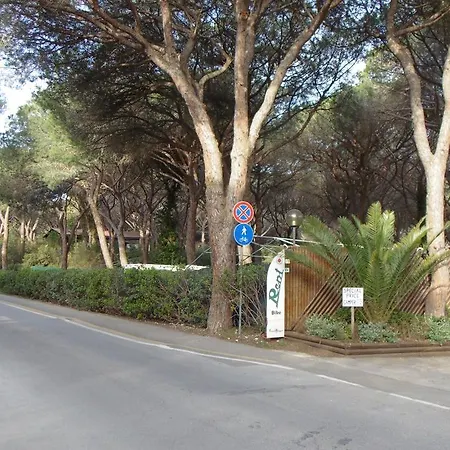 Eden Camping