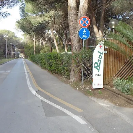 Camping Eden *
